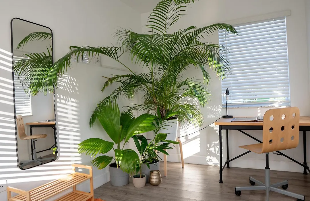 Casa Mia Central Location, Free Parking, Fully Equipped-1
