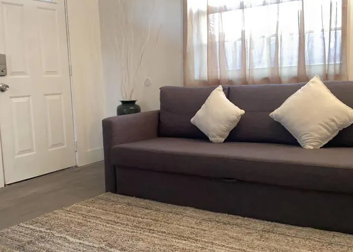 Modern Luxurious Spacious Home In West Wynwood Miami
