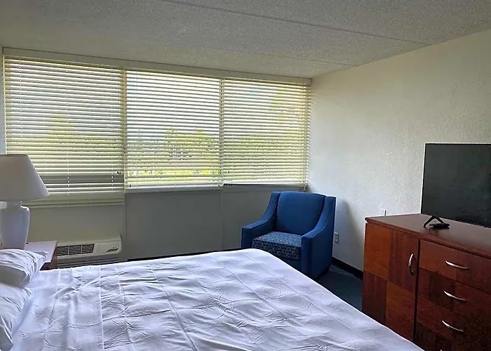 Hotel Roma Golden Glades Resort (Adults Only) admite animales