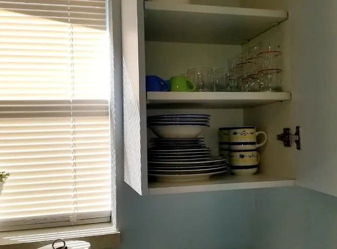 Apartamento Guayabita'S House Miami admite animales